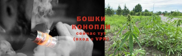 твердый Краснослободск
