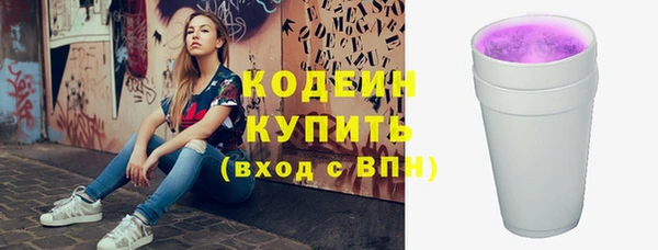 твердый Краснослободск