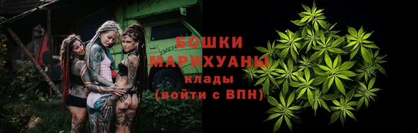 твердый Краснослободск