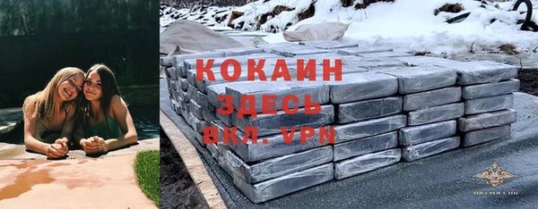 твердый Краснослободск