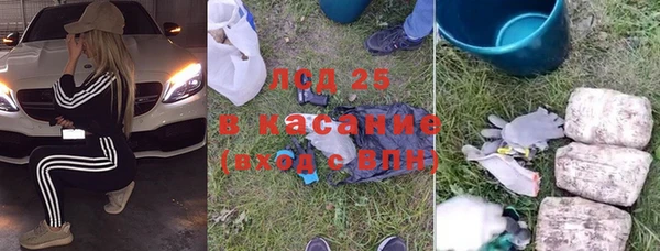 твердый Краснослободск