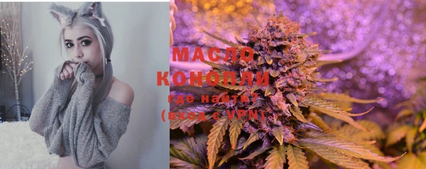 твердый Краснослободск