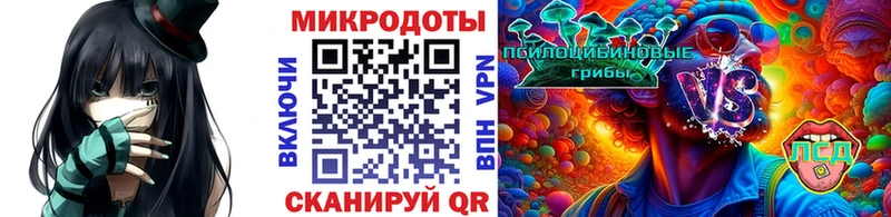 Купить где  Асино  Псилоцибиновые грибы Psilocybe 